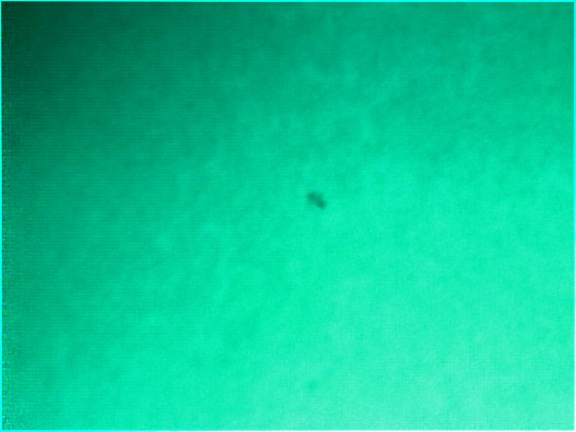 sun1087_18_07_2010.jpg