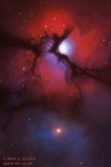 Nume fisier : trifid.jpg
Marime fisier : 18KB
Dimensiuni : 315x477
Data adaugarii : 22 Oct 2009 trifid.jpg