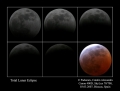 Eclipsa-Luna.jpg
