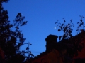 Jupiter_Venus_Conjunction_22_06_15.JPG