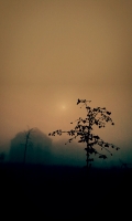 Nume fisier : Misty_sunrise_on_October_23.jpg
Marime fisier : 223KB
Dimensiuni : 1344x2240
Data adaugarii : 07 Ian 2016 Misty_sunrise_on_October_23.jpg