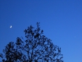 Nume fisier : Triple_Conjunction_21_06_15_Moon-Jupiter-Venus.JPG
Marime fisier : 67KB
Dimensiuni : 700x525
Data adaugarii : 08 Ian 2016 Triple_Conjunction_21_06_15_Moon-Jupiter-Venus.JPG