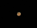 Nume fisier : Mars_5_Mar_2012__23_58.jpg
Marime fisier : 6KB
Dimensiuni : 640x480
Data adaugarii : 06 Mar 2012 Mars_5_Mar_2012__23_58.jpg