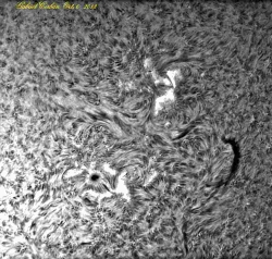 Apasati pentru a vedea imaginea la dimensiuni originale
