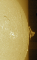 Filename=Sun_Ha_NewSHG80mm_proeminence_26-03-2025-color.jpg
Filesize=240KB
Dimensions=1180x1880
Date added=May 13, 2025 Sun_Ha_NewSHG80mm_proeminence_26-03-2025-color.jpg