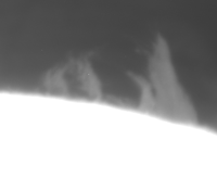 162948_110625_F001-278_F001-278 decim_F01-93 GIFMAXQ.gif