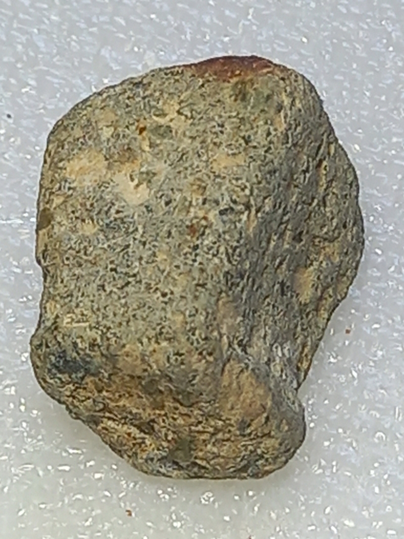 170.jpg
