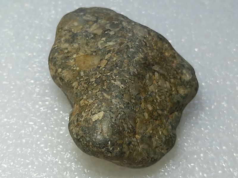 191.jpg