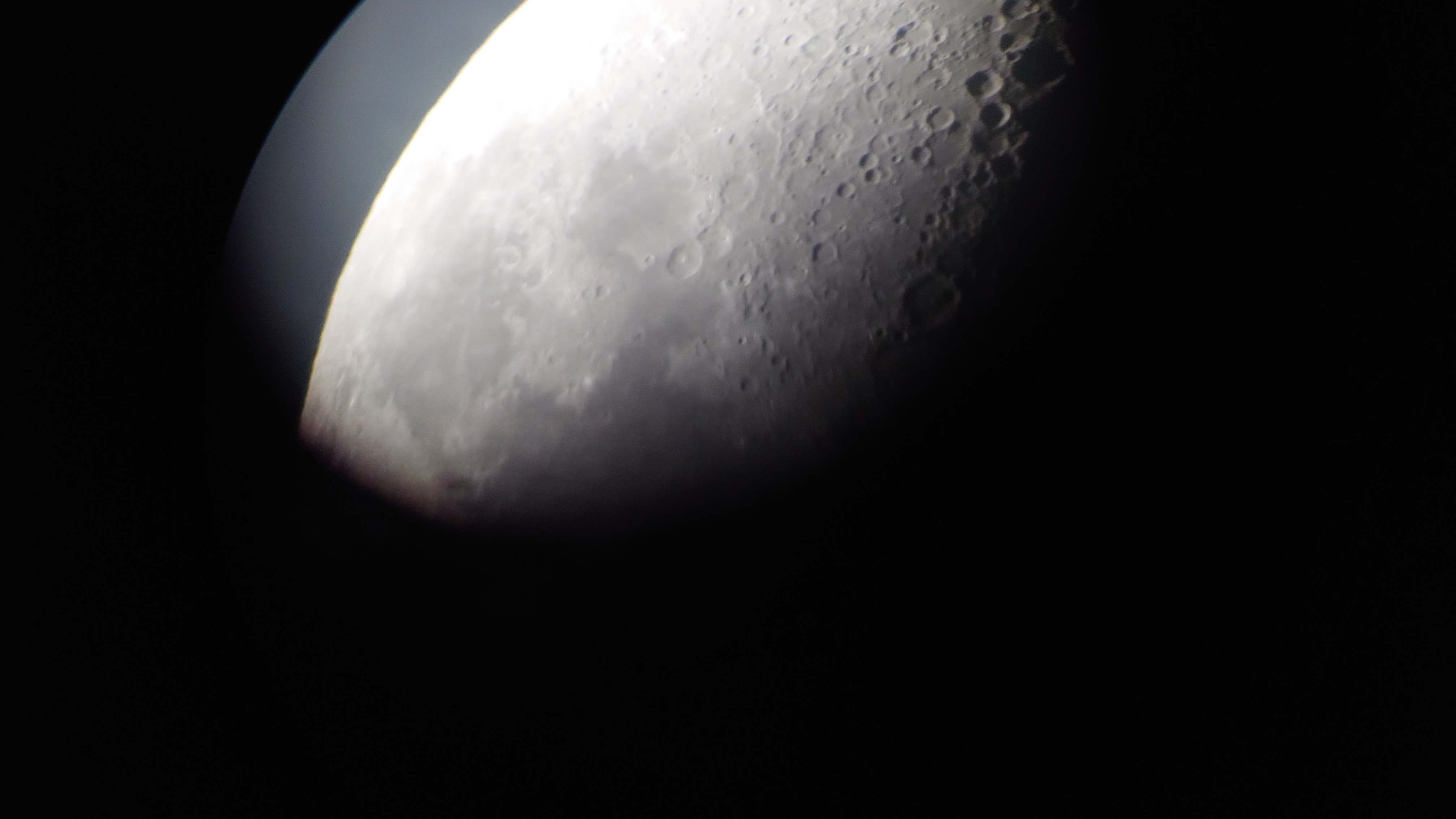20241108_191320.JPG
