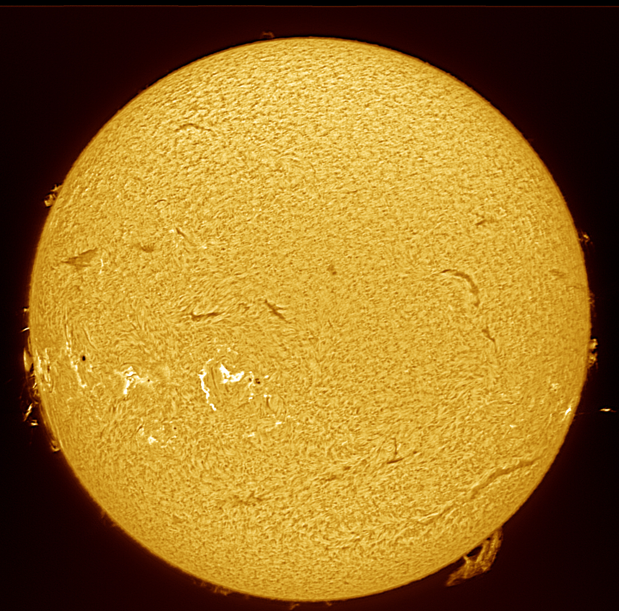 2024-10-23-1309_Ha.jpg