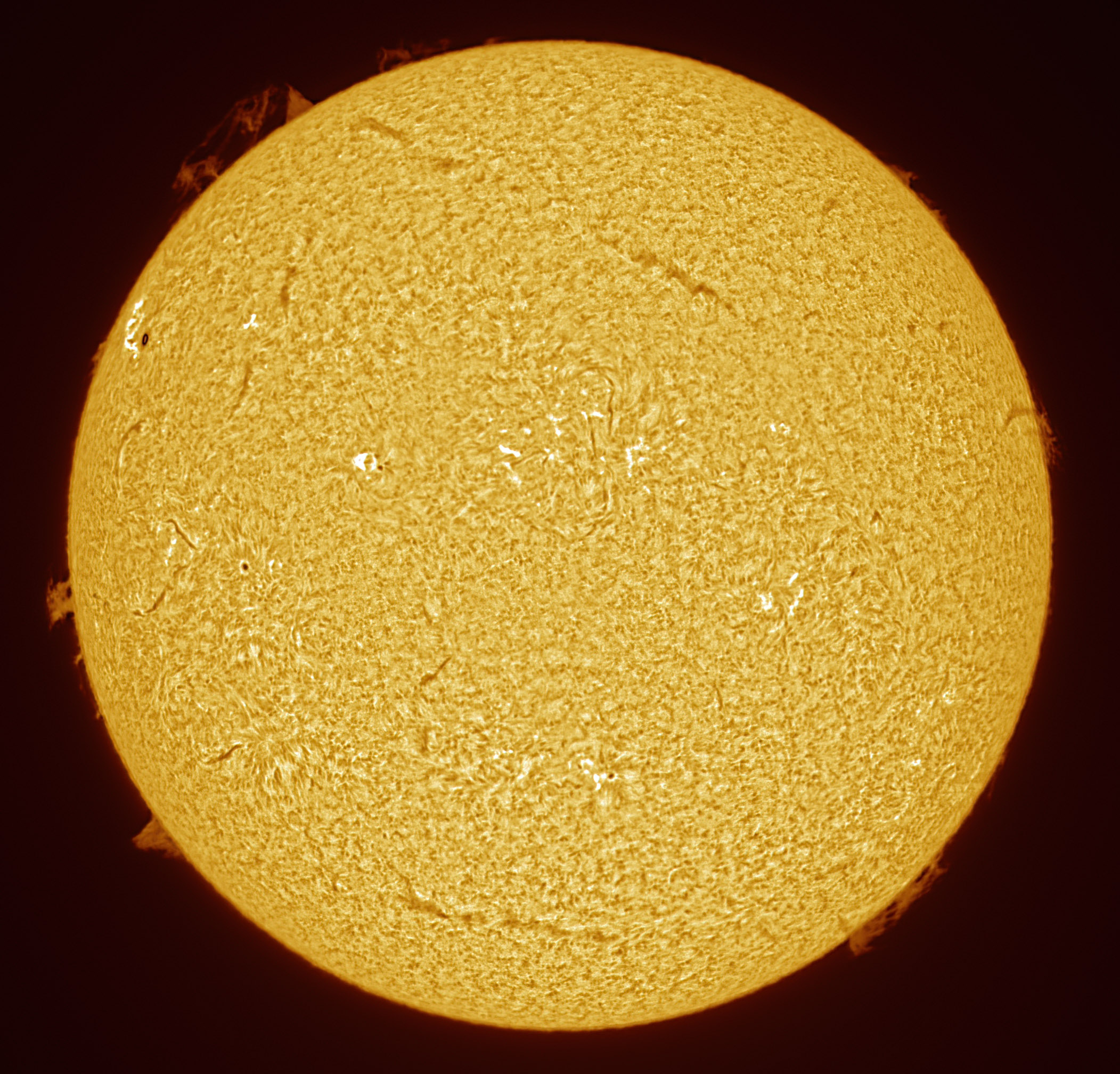2025-08-21-1312_4-U-L-Sun_Halpha.jpg
