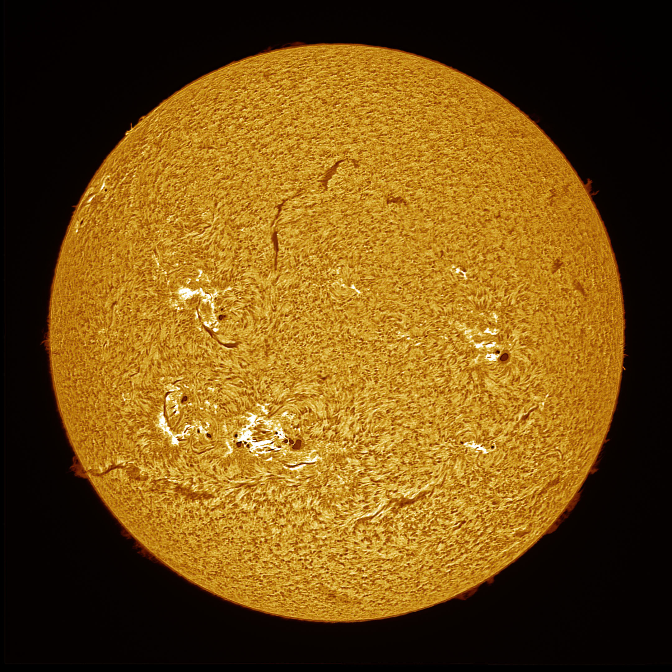 2025-08-29-1349_2-U-L-Sun_Halpha.jpg