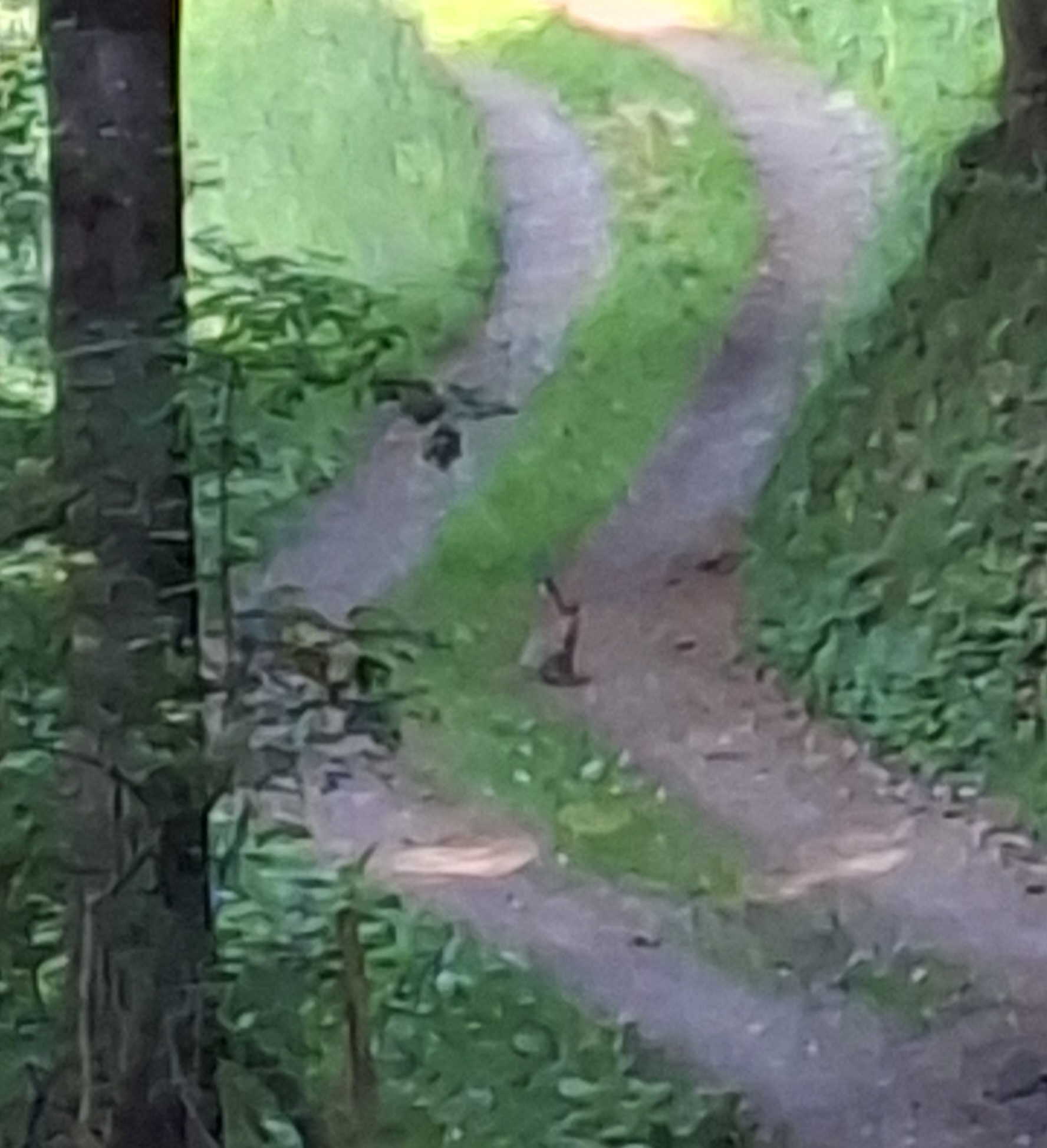 20260527_073457.jpg