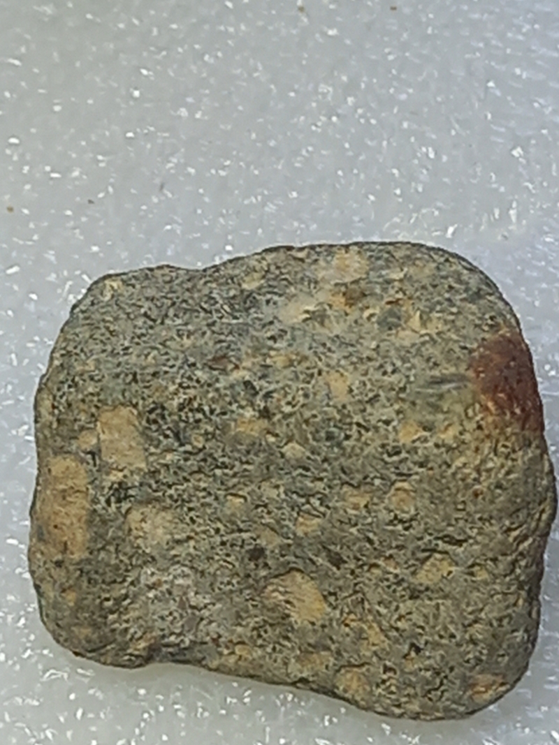 224.jpg