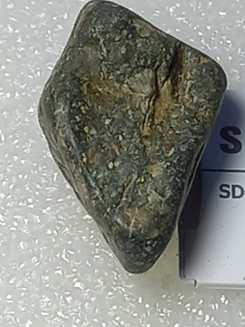 270.jpg