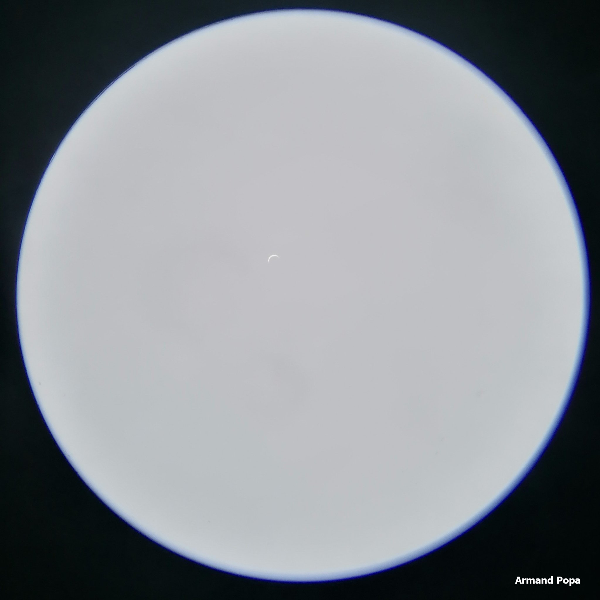 271519877_4961921273871068_7741090305384991456_n.jpg