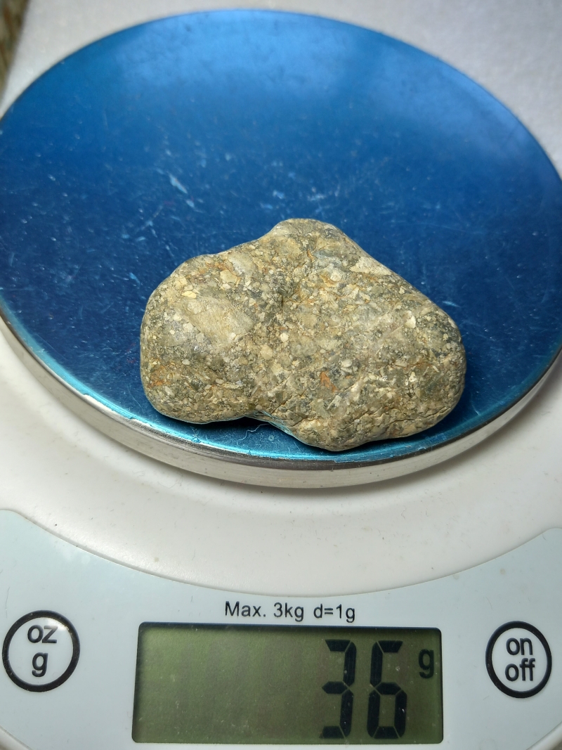 309.jpg