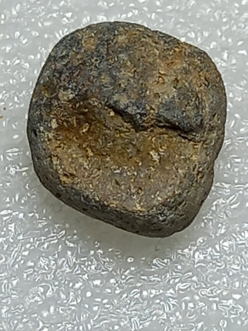310.jpg