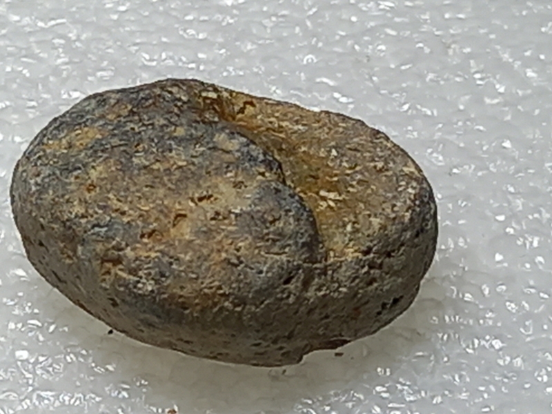 318.jpg