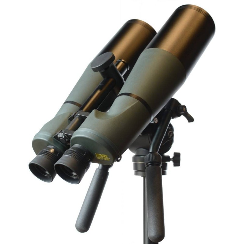 3630-large_default.jpg