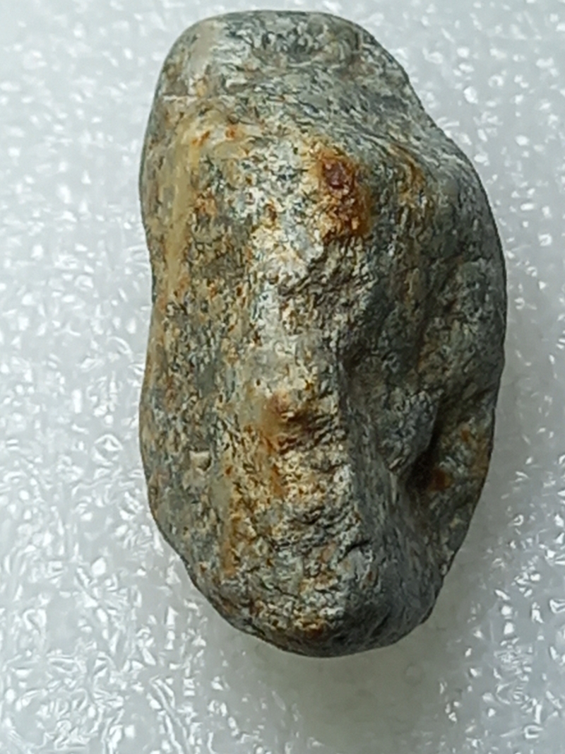459.jpg