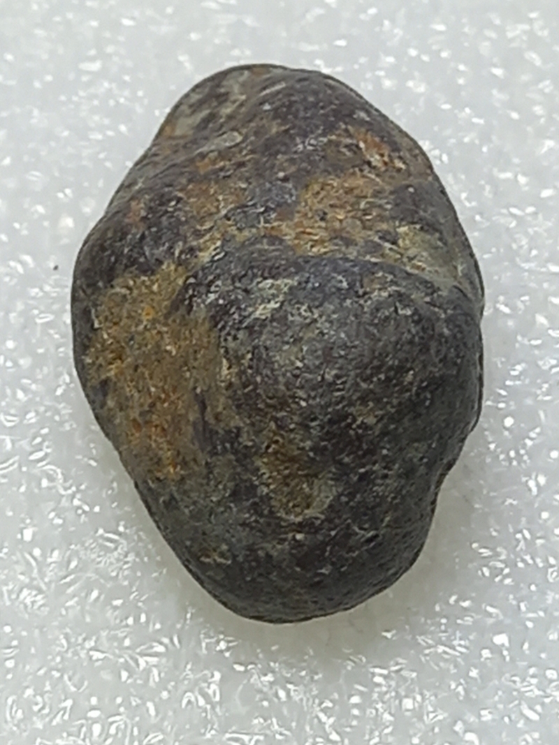 479.jpg