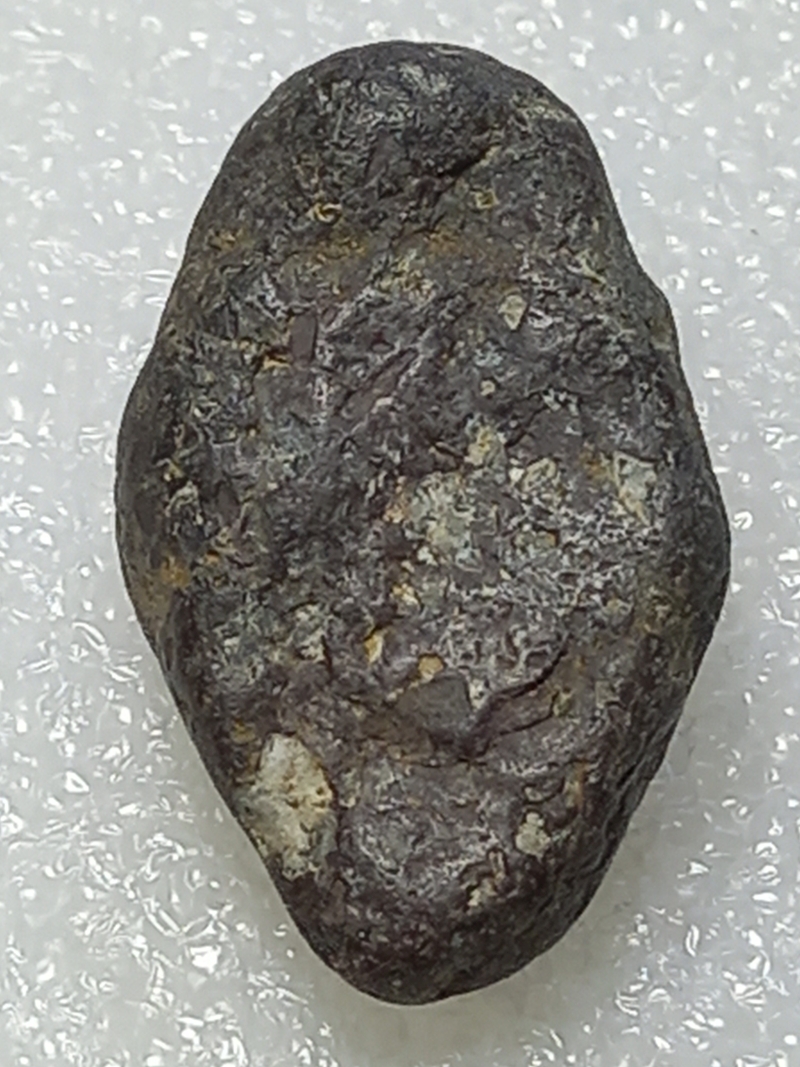 486.jpg