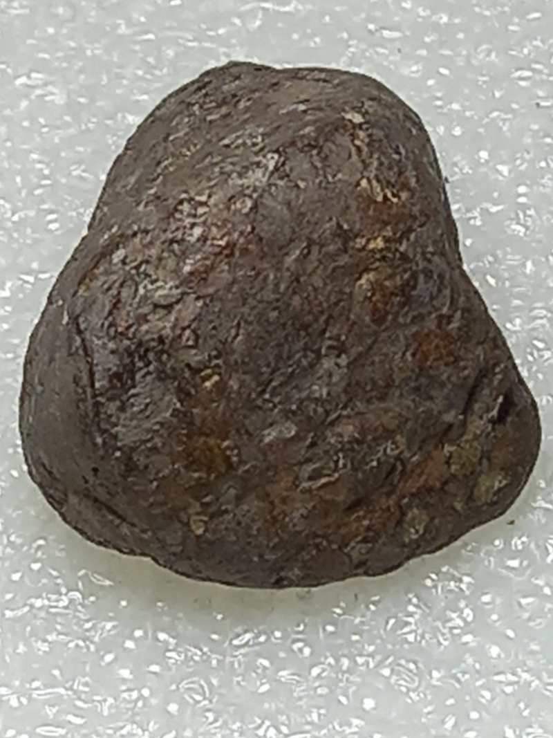 571.jpg