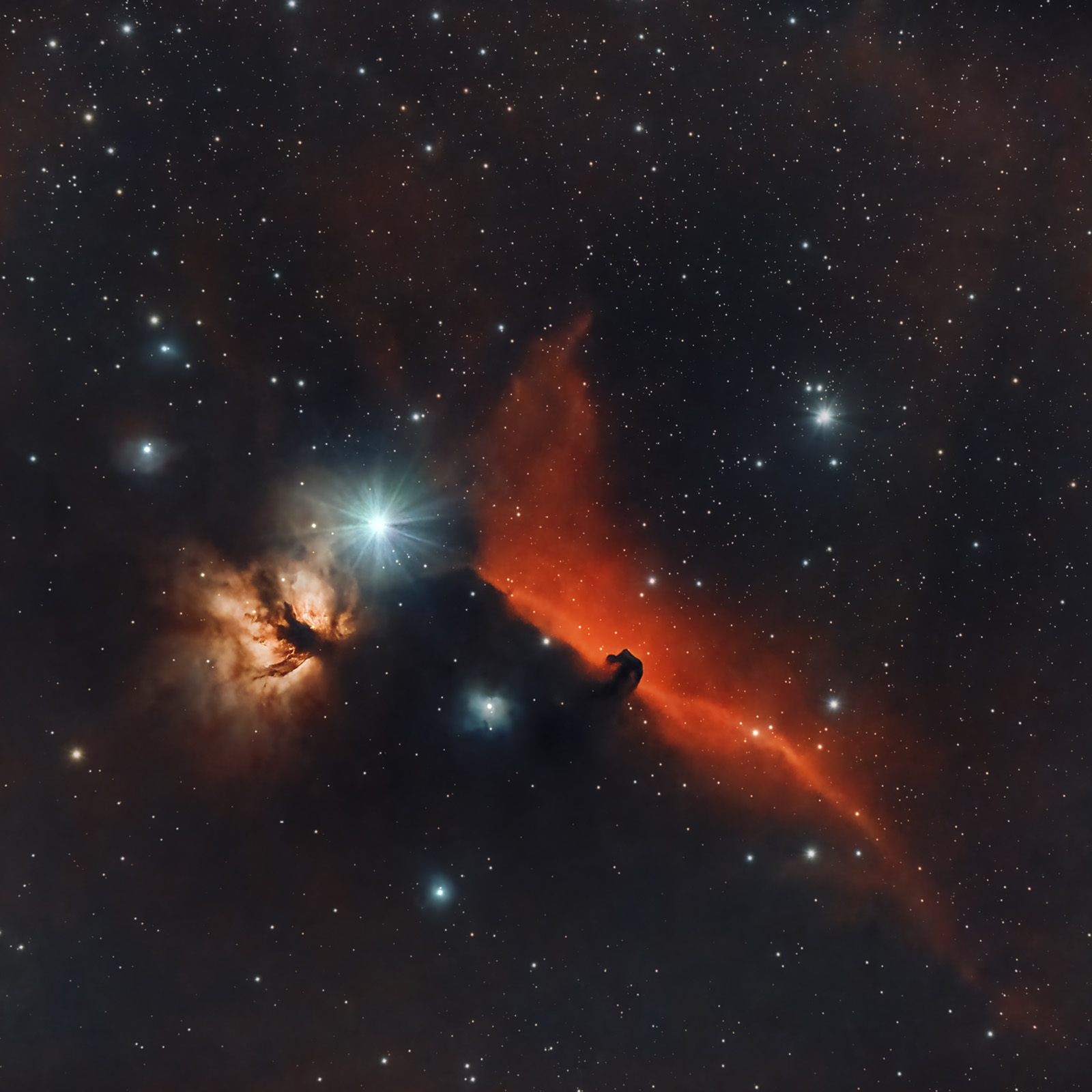 !!! HorseHead_Toata_final 3.jpg