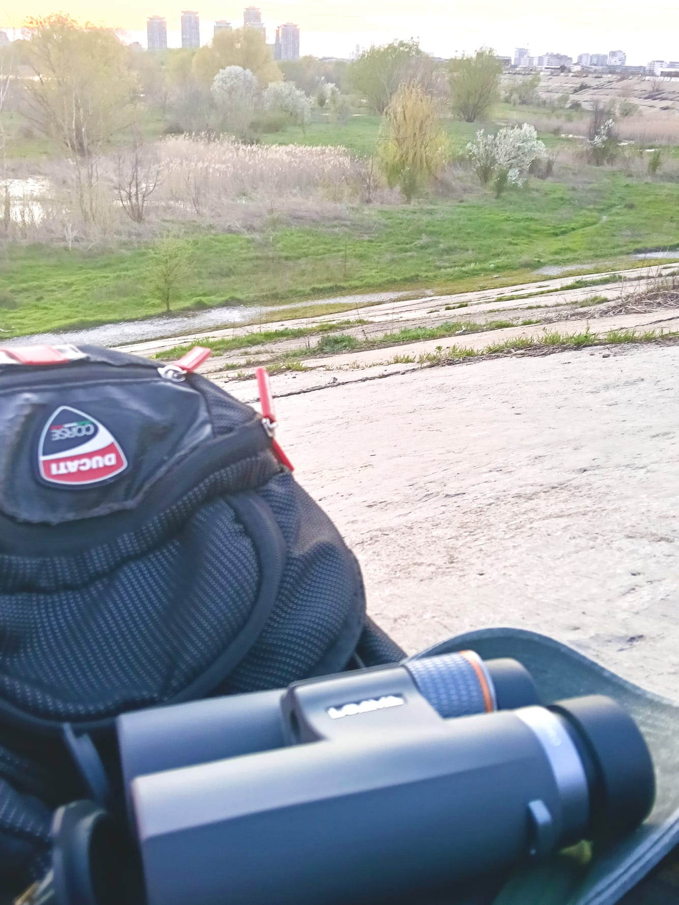 Aglaia la iarba verde.jpg