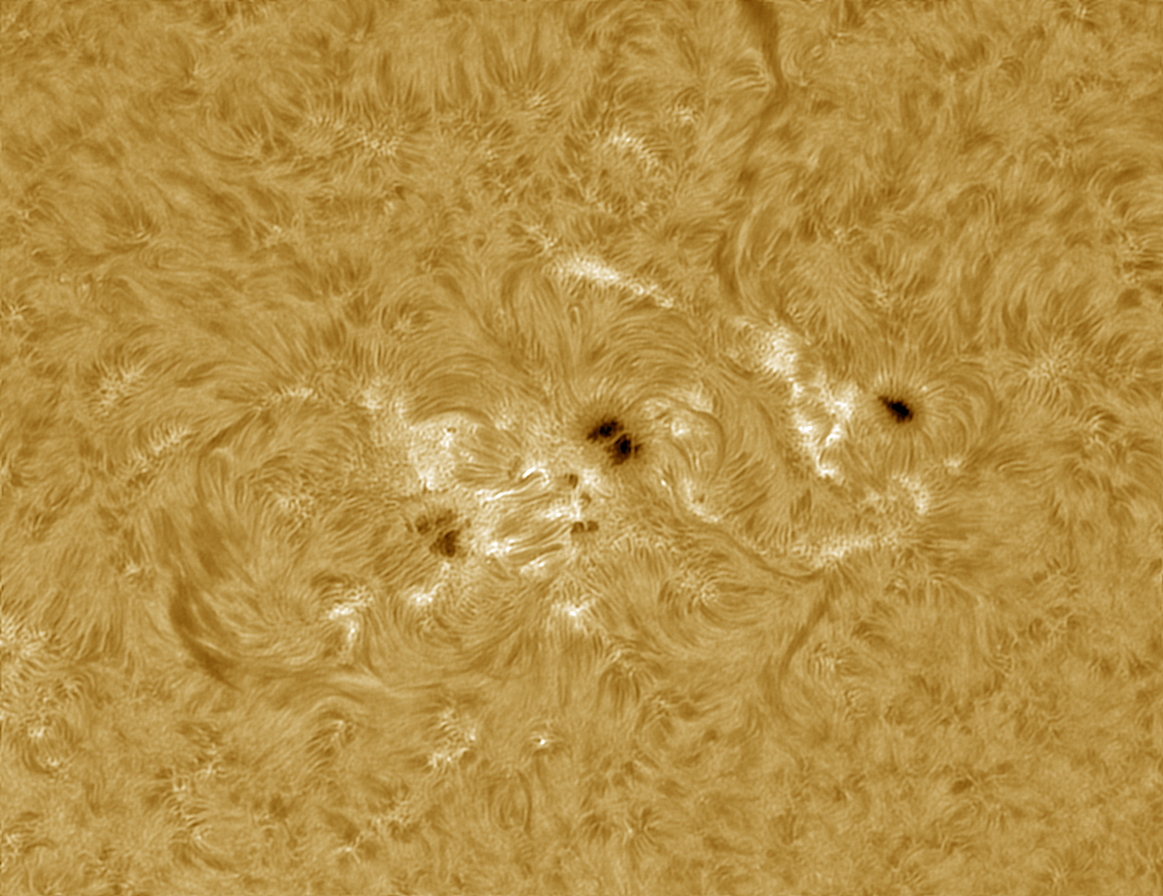 AR1482+1479 - pi+ps.jpg