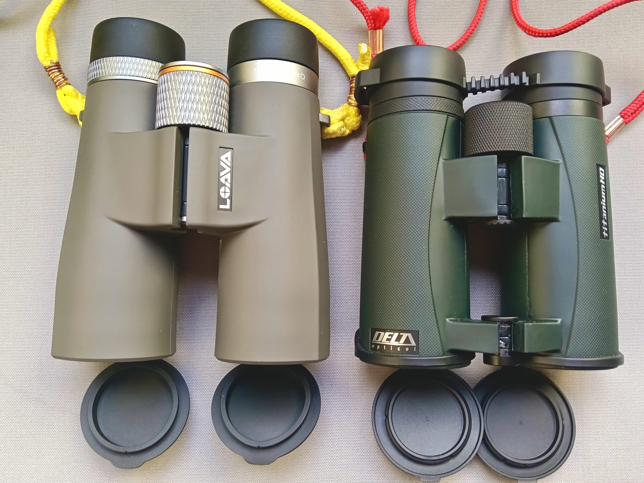 binocluri Aglaia si Delta.jpg