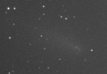 c2019y4_20200425s.jpg