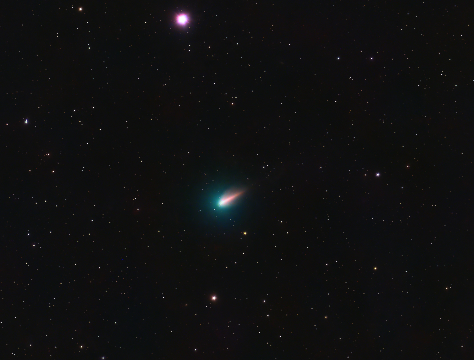 C220P crop.jpg
