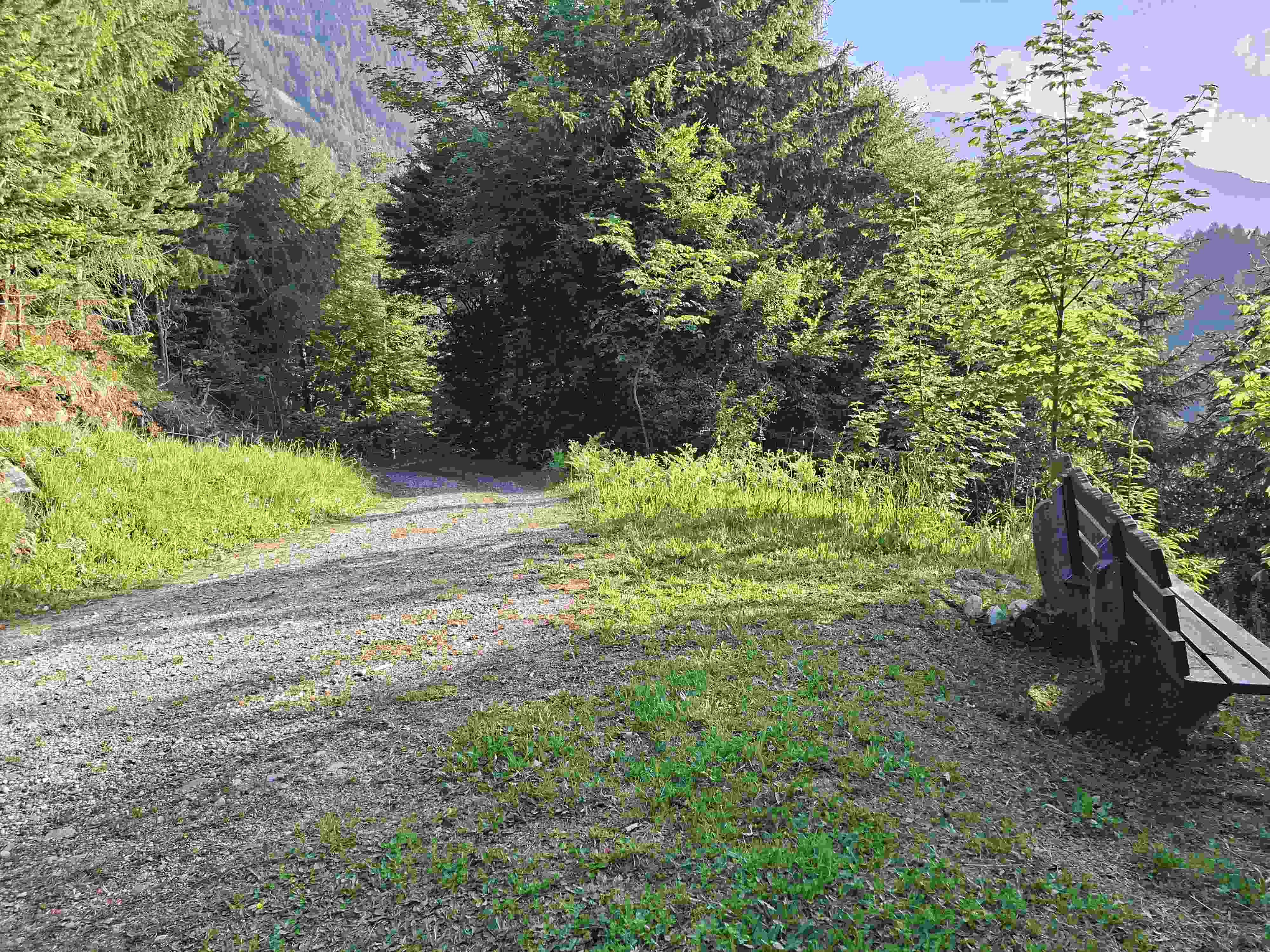 Compress_20260527_073422_2658.jpg