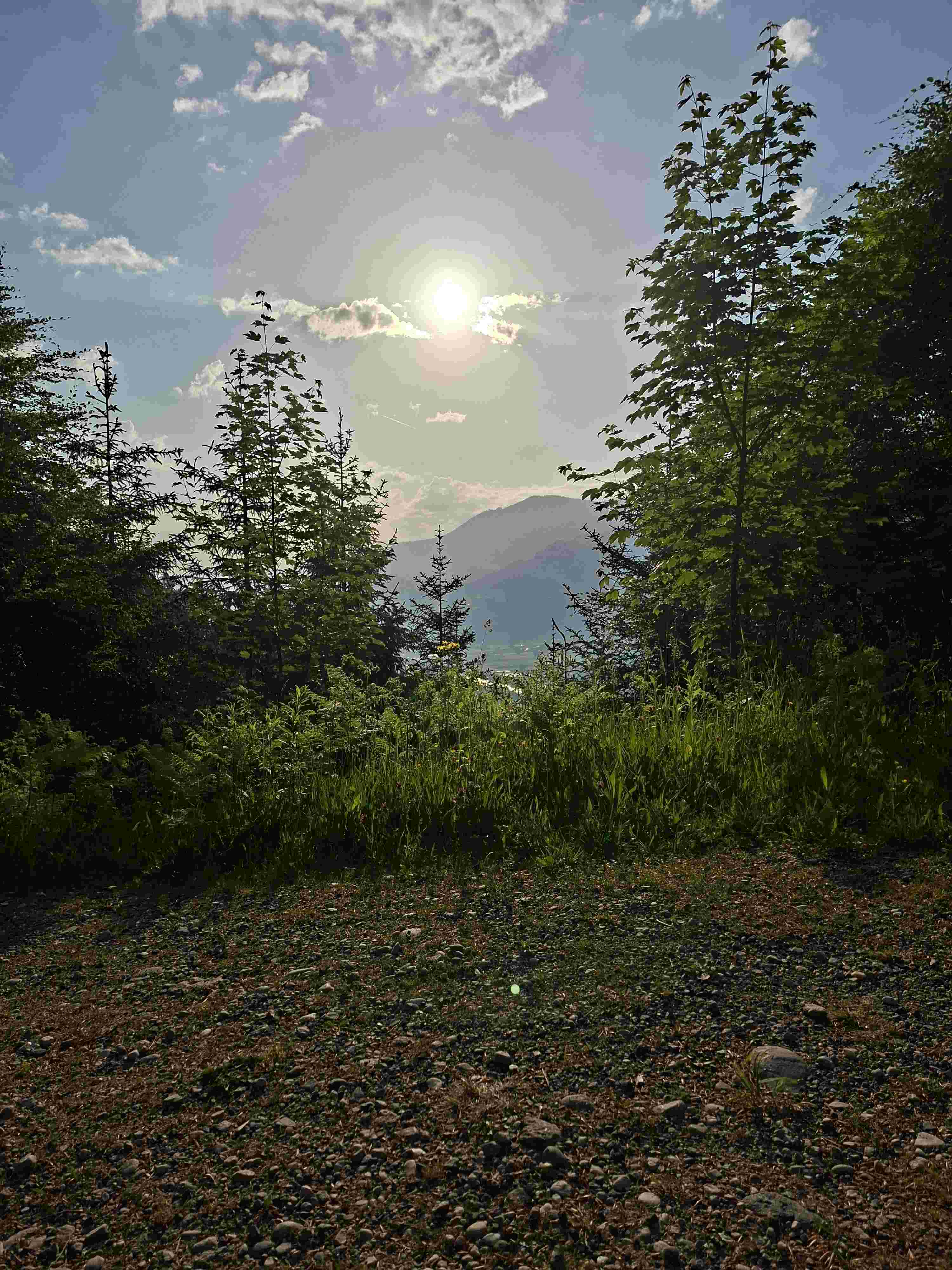 Compress_20260527_073423_3906.jpg