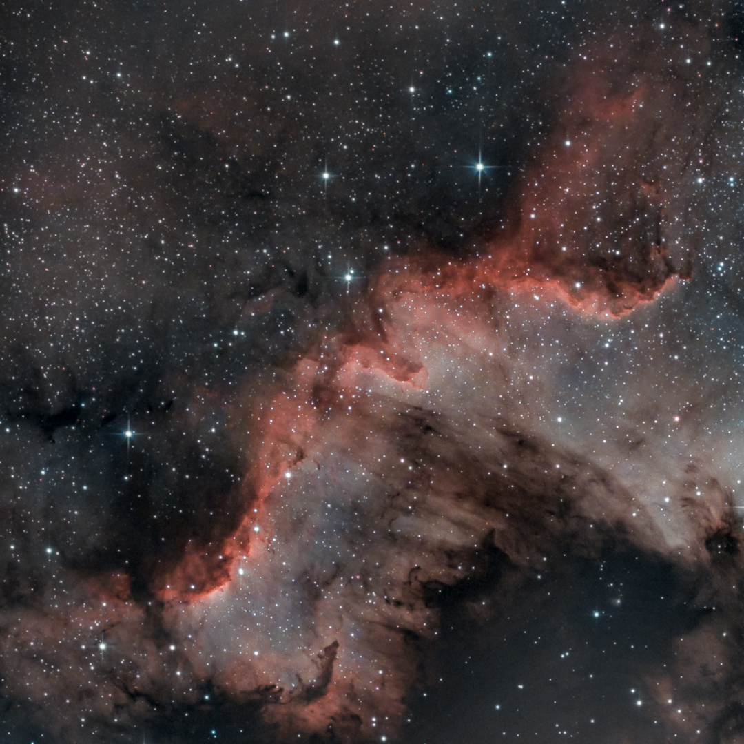 CygnusWall SW5 4h30 29.04.21.jpg