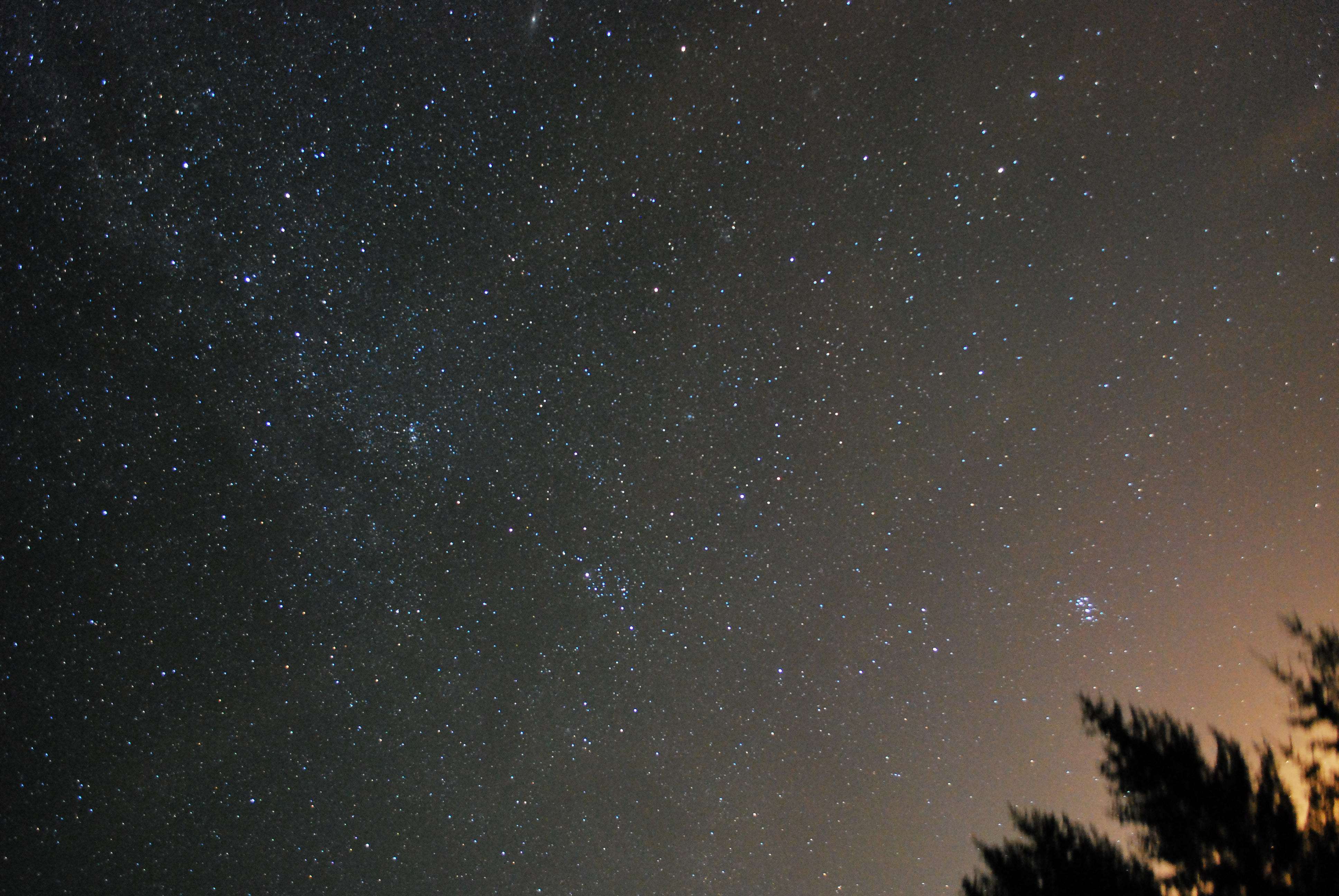 DSC_0783.jpg