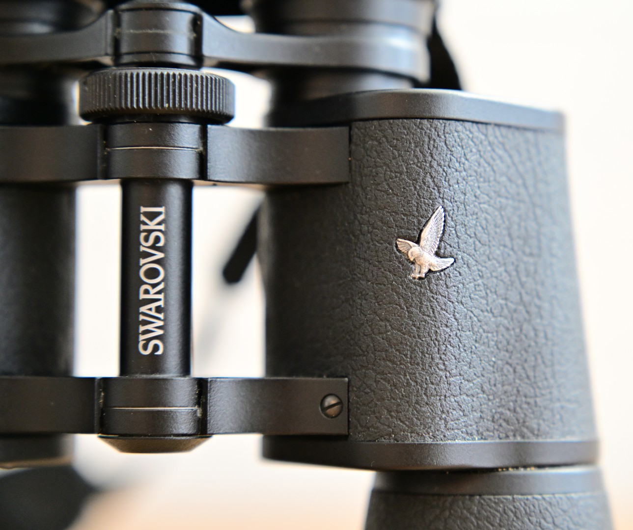 DSC_2521_031 (Large).JPG