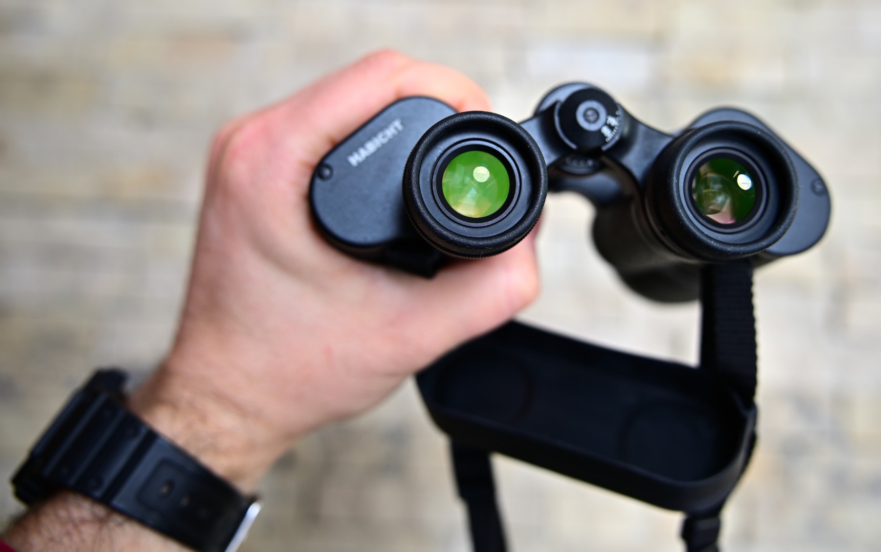 DSC_2527_036 (Large).JPG