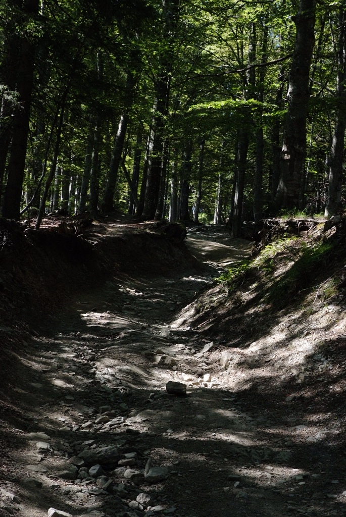 DSCF8189.JPG