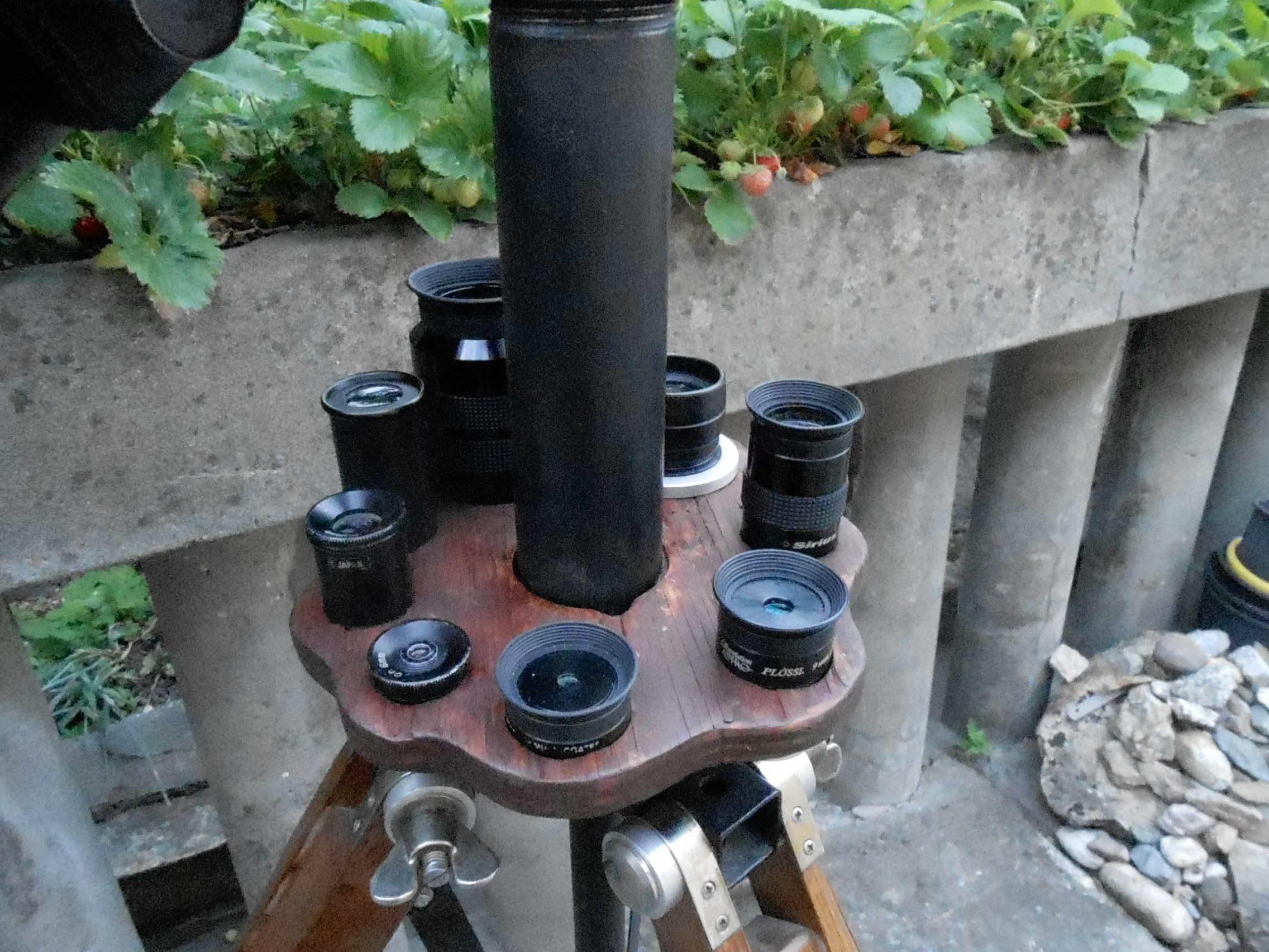 DSCN8116_684.JPG
