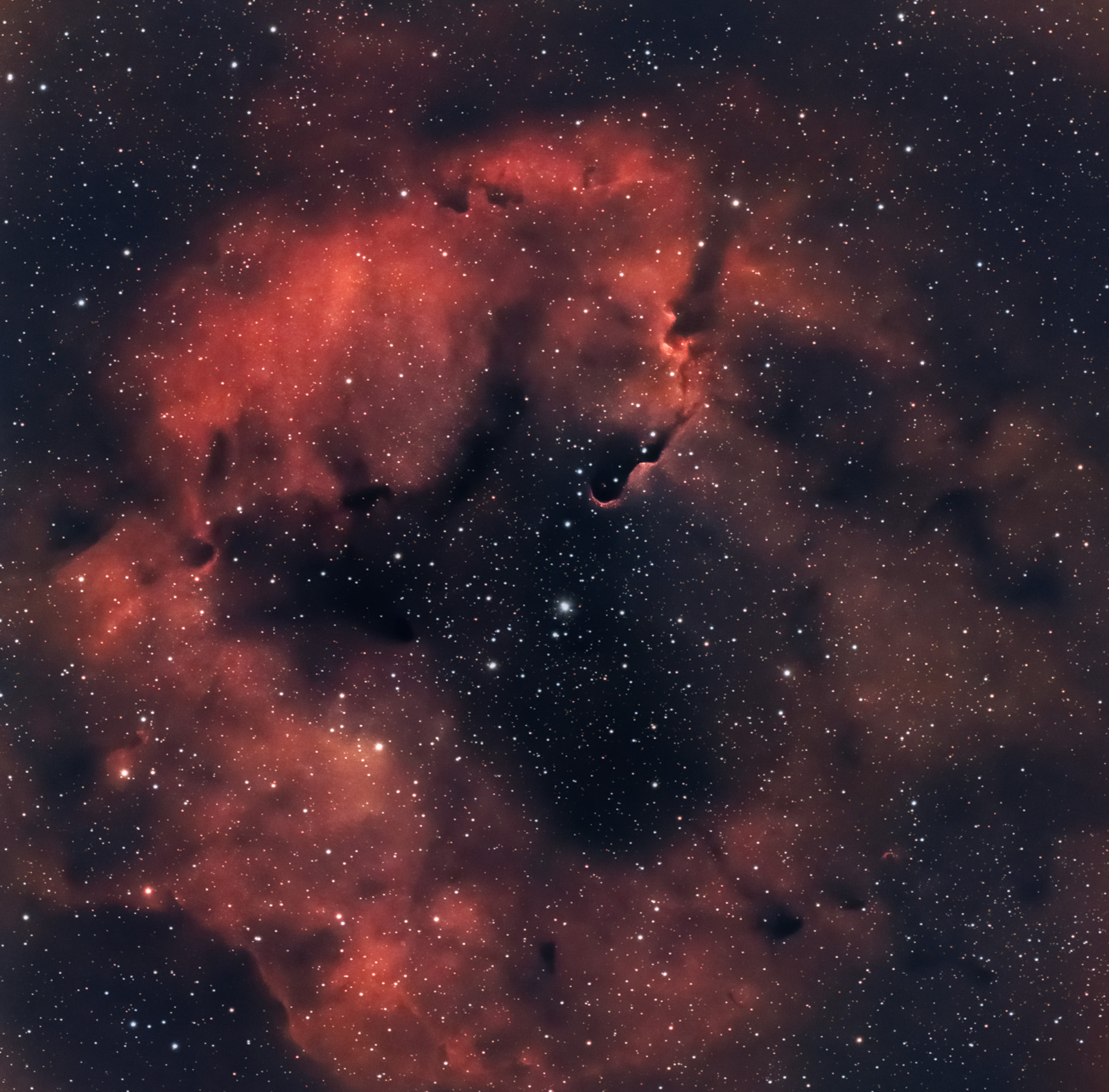 Elefant_astronomy.jpg