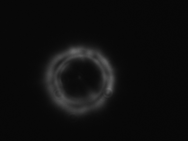 Extrafocal 3X.JPG