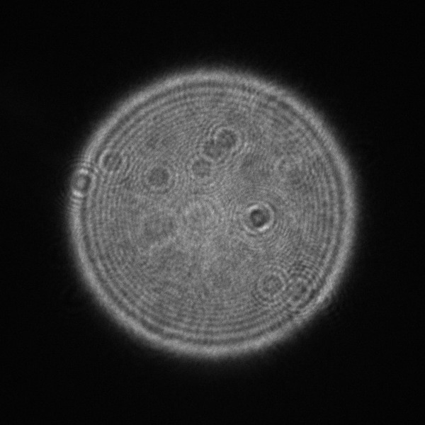 extrafocal.jpg