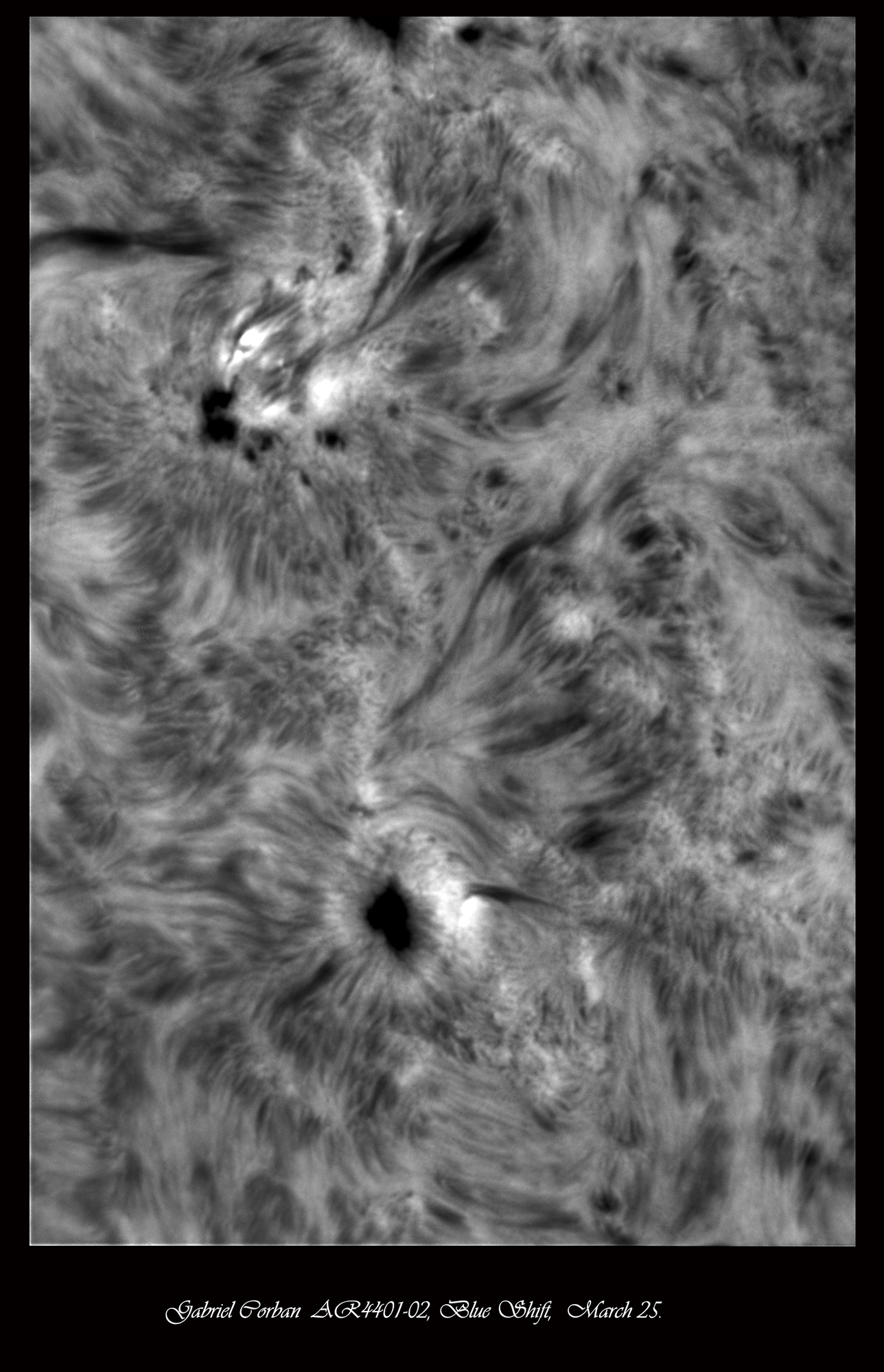 GRAD 40 ZZ N ZZ GT JG red.jpg