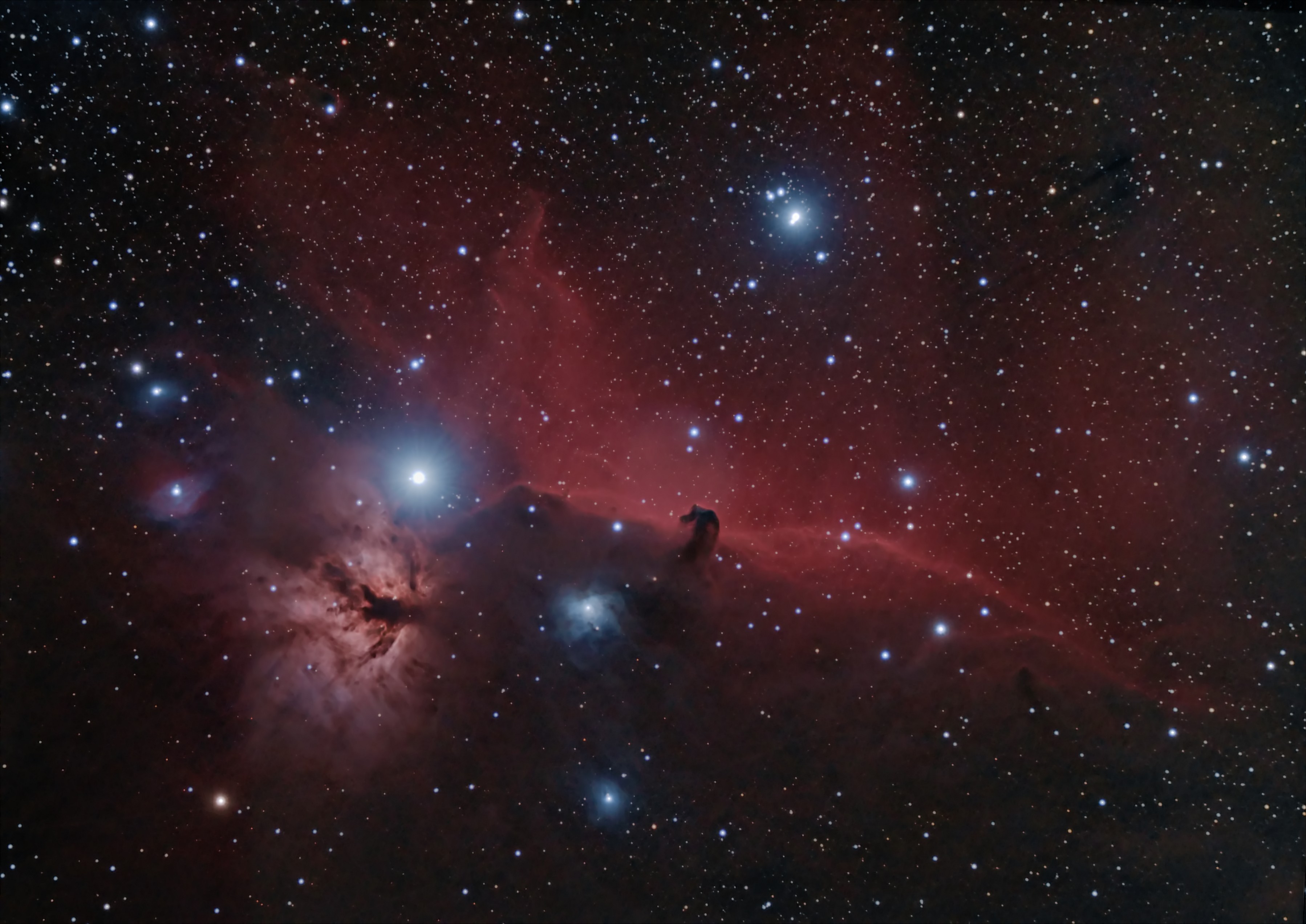 Horsehead & Flame Nebulae.jpg