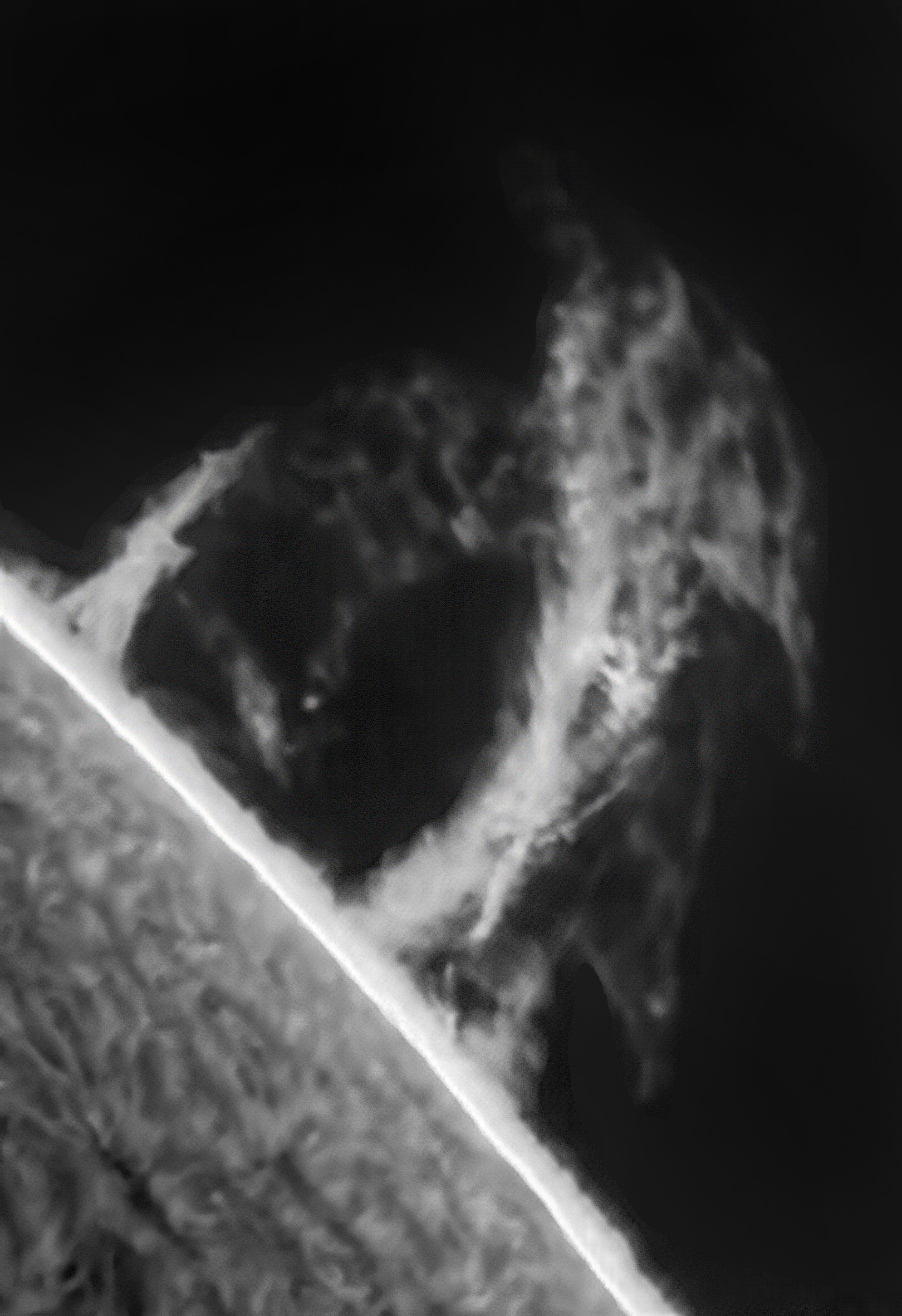 I15 inv 2-ZZ PS1 JG 2 y2.jpg