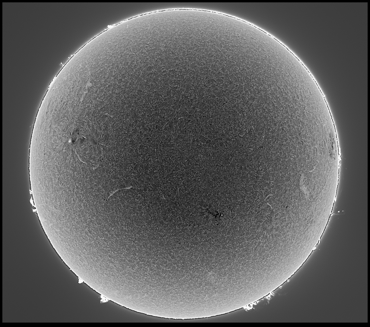 I 17 inv 4 PS1 BD JG.jpg