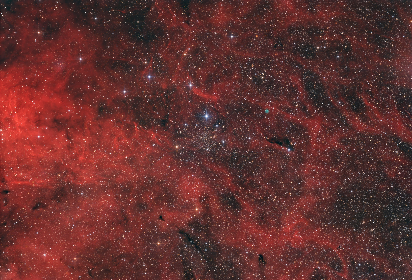 IC 1311_resize.jpg
